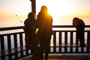 Divorce Myths